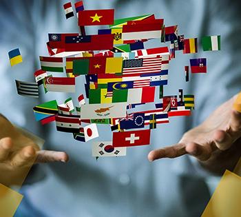 Translation office nasr city 2021 2022 مكتب